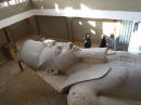 Memphis - grande statua di Ramesse II 