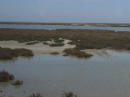 Camargue - paesaggio