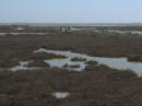 Camargue - paesaggio