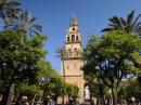 Cordoba - dal cortile della Mezquita